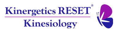 Kinergetics Kinesiology